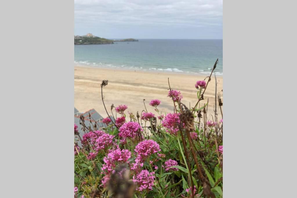 Beautiful 3 Bedroom Apartment By The Sea New Quay Eksteriør bilde