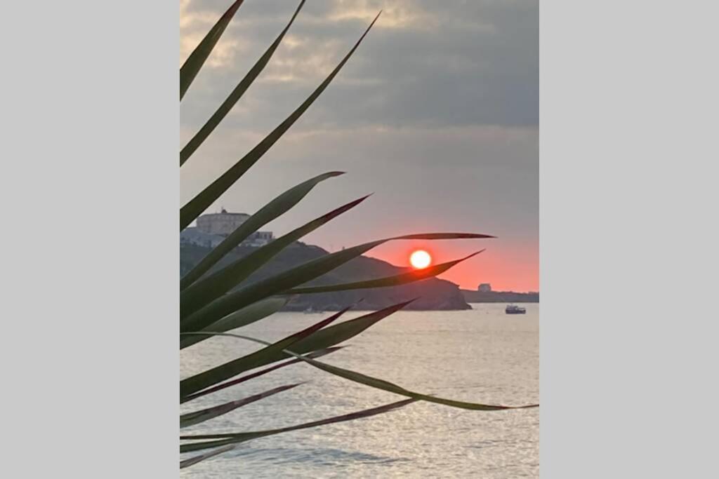 Beautiful 3 Bedroom Apartment By The Sea New Quay Eksteriør bilde
