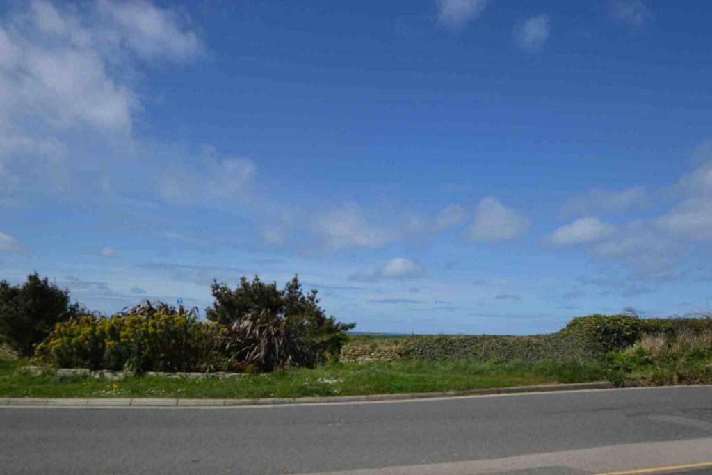 Beautiful 3 Bedroom Apartment By The Sea New Quay Eksteriør bilde