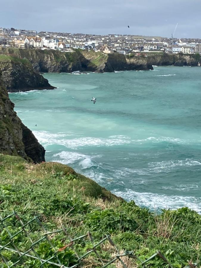 Beautiful 3 Bedroom Apartment By The Sea New Quay Eksteriør bilde